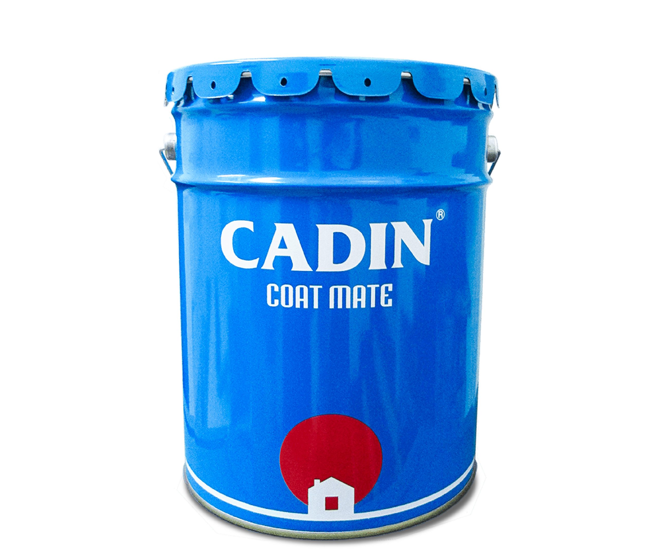 K101 Keo L t Epoxy Cho B T ng CADIN