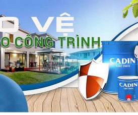 sơn CADIN