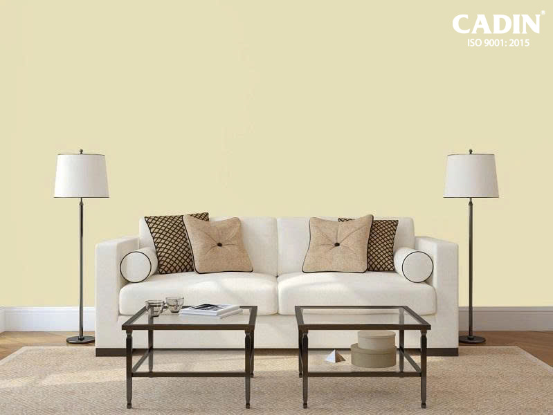 Câu Hỏi Quan Trọng Trước Khi Chọn Màu Sơn Cho Ngôi Nhà Của Bạn