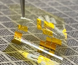 Nguyên mẫu pin mặt trời sử dụng vật liệu do các nhà nghiên cứu phát triển từ TMD. Ảnh: Đại học Stanford